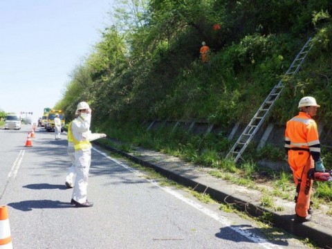 作業状況確認