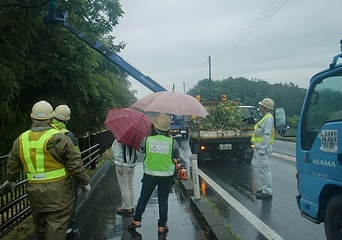 維持補修工事（伐採）現場作業状況確認